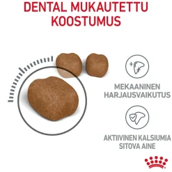Royal Canin Kissan Kuivaruoka|Kissan Erikoisruoat*Dental Care