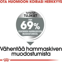 Royal Canin Koiran Kuivaruoka*Dental Care Mini