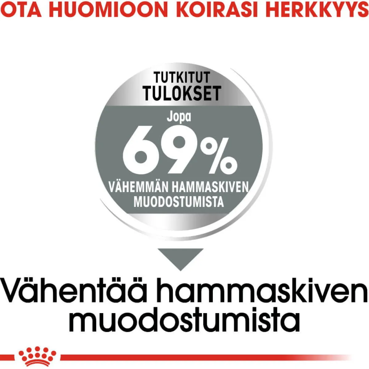 Royal Canin Koiran Kuivaruoka*Dental Care Mini