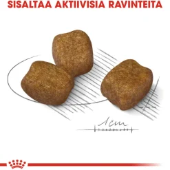 Royal Canin Koiran Kuivaruoka*Dental Care Mini