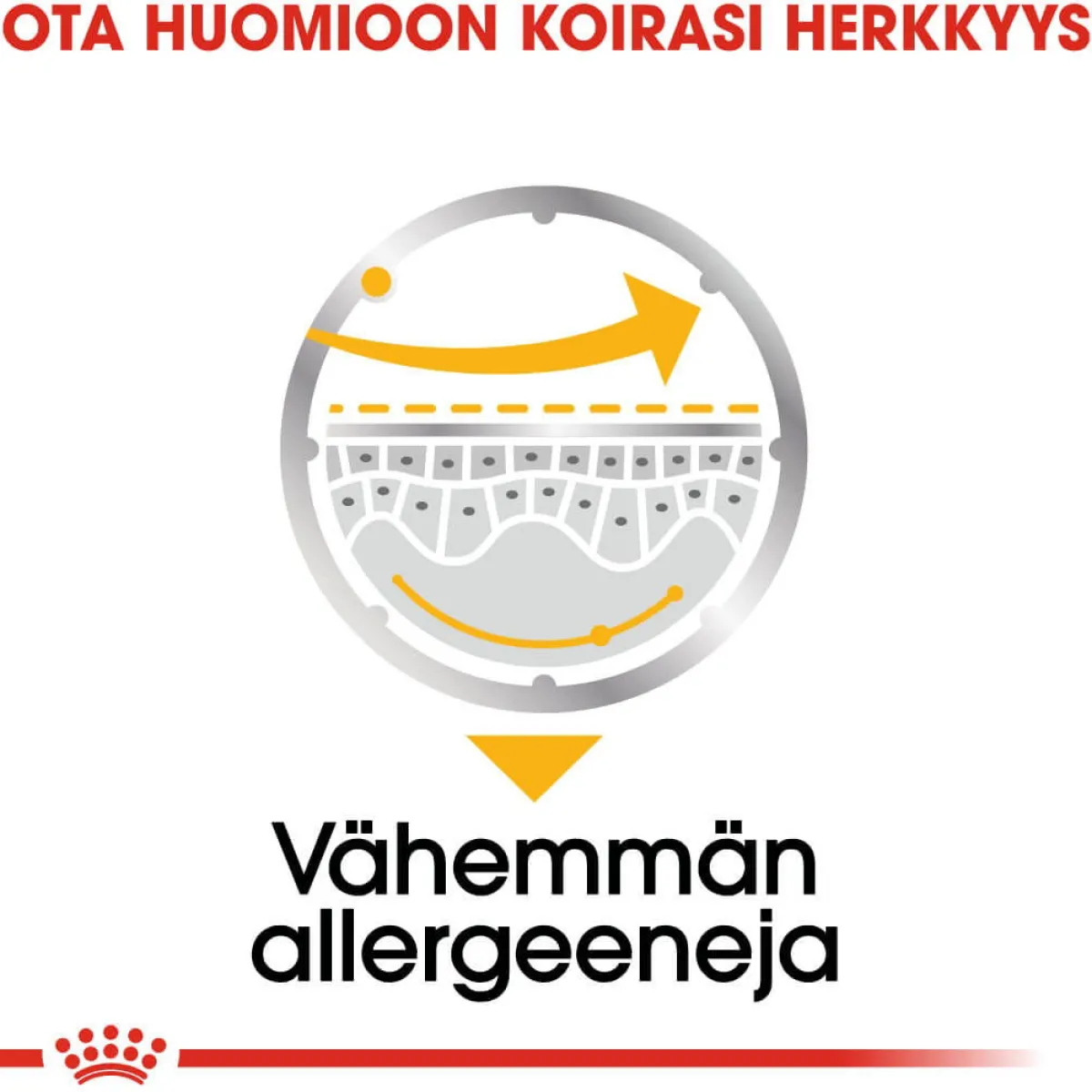 Royal Canin Koiranruoat Erityistapeisiin|Koiran Märkäruoka Ja Makkarat*Dermacomfort wet 12 x 85 g