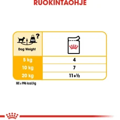 Royal Canin Koiranruoat Erityistapeisiin|Koiran Märkäruoka Ja Makkarat*Dermacomfort wet 12 x 85 g