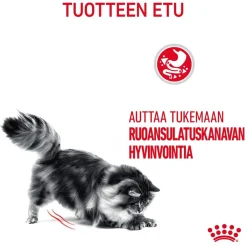 Royal Canin Kissan Kuivaruoka|Kissan Erikoisruoat*Digestive Care