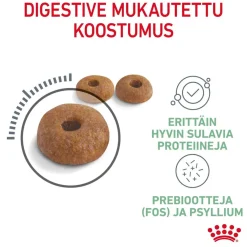 Royal Canin Kissan Kuivaruoka|Kissan Erikoisruoat*Digestive Care