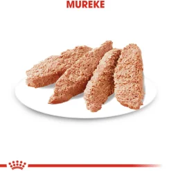 Royal Canin Koiran Märkäruoka Ja Makkarat*Digestive Care wet 12 x 85 g