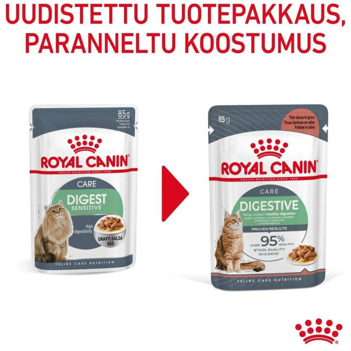 Royal Canin Kissan Märkäruoka*Digest Sensitive Gravy 85g, 48-pack