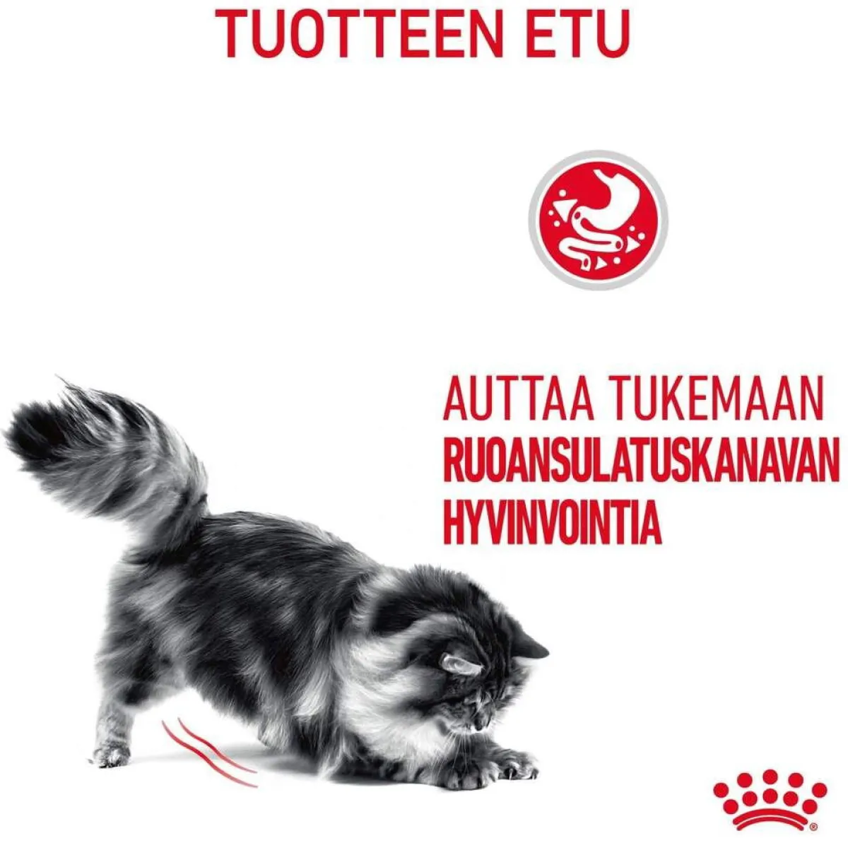 Royal Canin Kissan Märkäruoka*Digest Sensitive Gravy 85g, 48-pack
