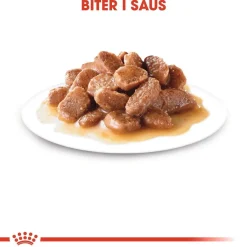 Royal Canin Kissan Märkäruoka*Digest Sensitive Gravy 85g, 48-pack