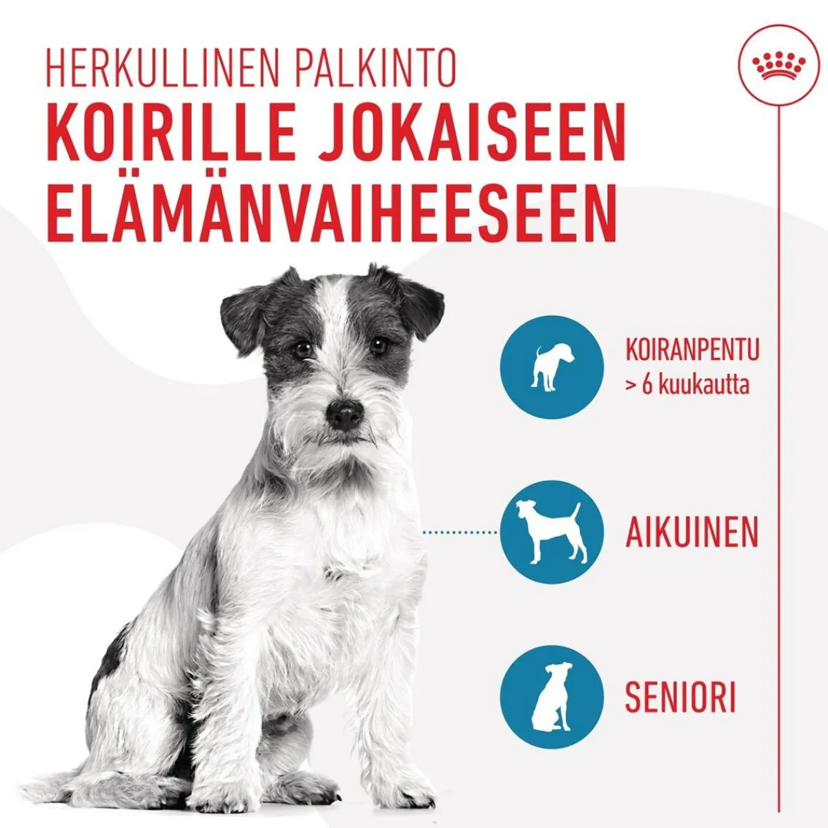 Royal Canin Pikkuherkut Ja Treeninamit*Dog Training Treats 110g