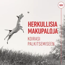 Royal Canin Pikkuherkut Ja Treeninamit*Dog Training Treats 110g