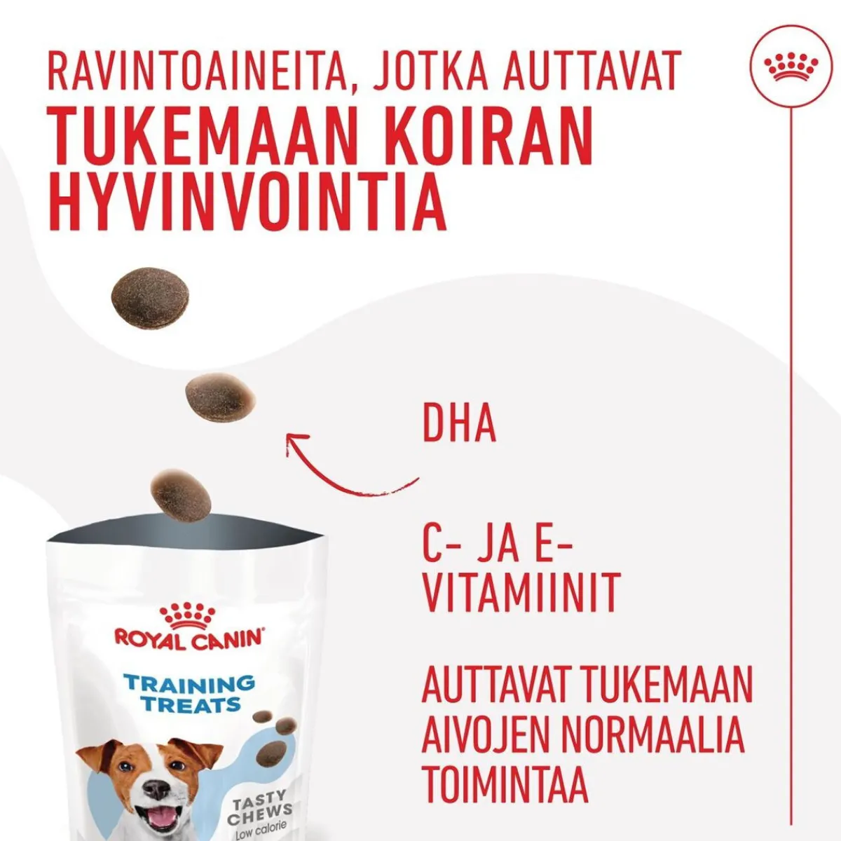 Royal Canin Pikkuherkut Ja Treeninamit*Dog Training Treats 110g