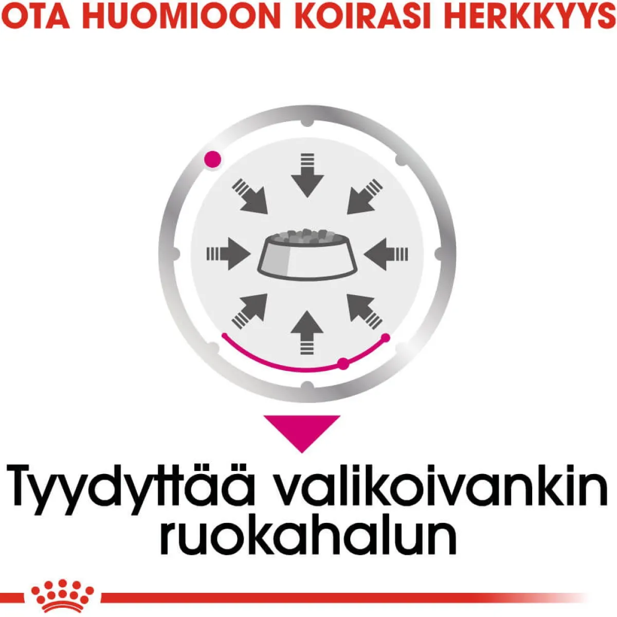 Royal Canin Koiran Märkäruoka Ja Makkarat*Exigent wet 12 x 85 g