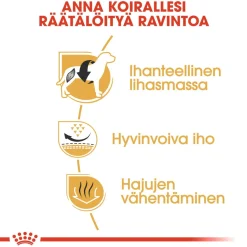 Royal Canin Koiran Kuivaruoka|Tarjoukset Koirille*French Bulldog Adult