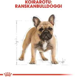 Royal Canin Koiran Kuivaruoka|Tarjoukset Koirille*French Bulldog Adult
