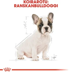 Royal Canin Penturuoka|Koiran Kuivaruoka*French Bulldog Puppy
