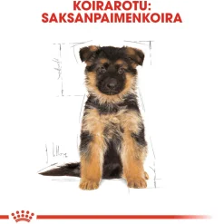 Royal Canin Penturuoka|Koiran Kuivaruoka*German Shepherd Puppy 12 kg