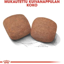 Royal Canin Koiran Kuivaruoka*Giant Adult 15 kg