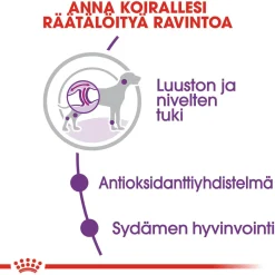 Royal Canin Koiran Kuivaruoka*Giant Adult 15 kg