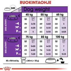 Royal Canin Koiran Kuivaruoka*Giant Adult 2 x 15kg