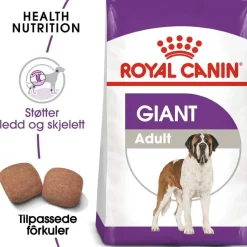 Royal Canin Koiran Kuivaruoka*Giant Adult 2 x 15kg