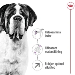Royal Canin Koiran Kuivaruoka*Giant Adult 2 x 15kg