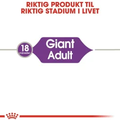 Royal Canin Koiran Kuivaruoka*Giant Adult 2 x 15kg