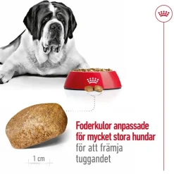 Royal Canin Koiran Kuivaruoka*Giant Adult 2 x 15kg
