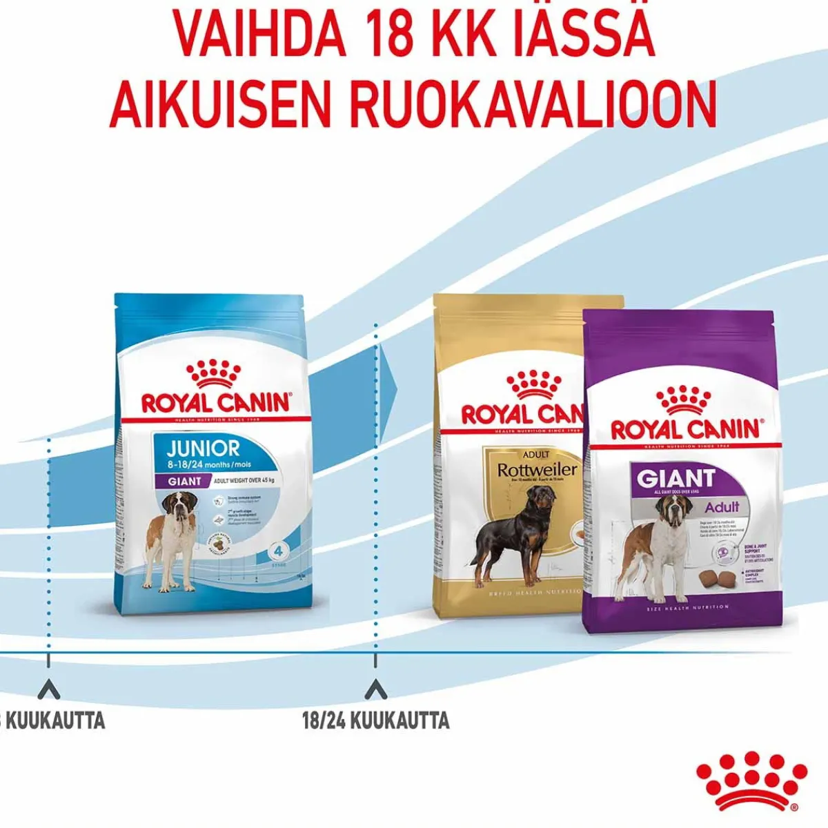 Royal Canin Penturuoka|Koiran Kuivaruoka*Giant Junior 15 kg