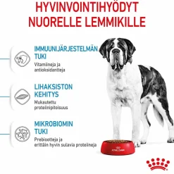 Royal Canin Penturuoka|Koiran Kuivaruoka*Giant Junior 15 kg
