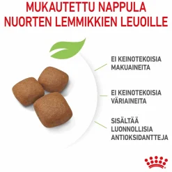 Royal Canin Penturuoka|Koiran Kuivaruoka*Giant Junior 15 kg