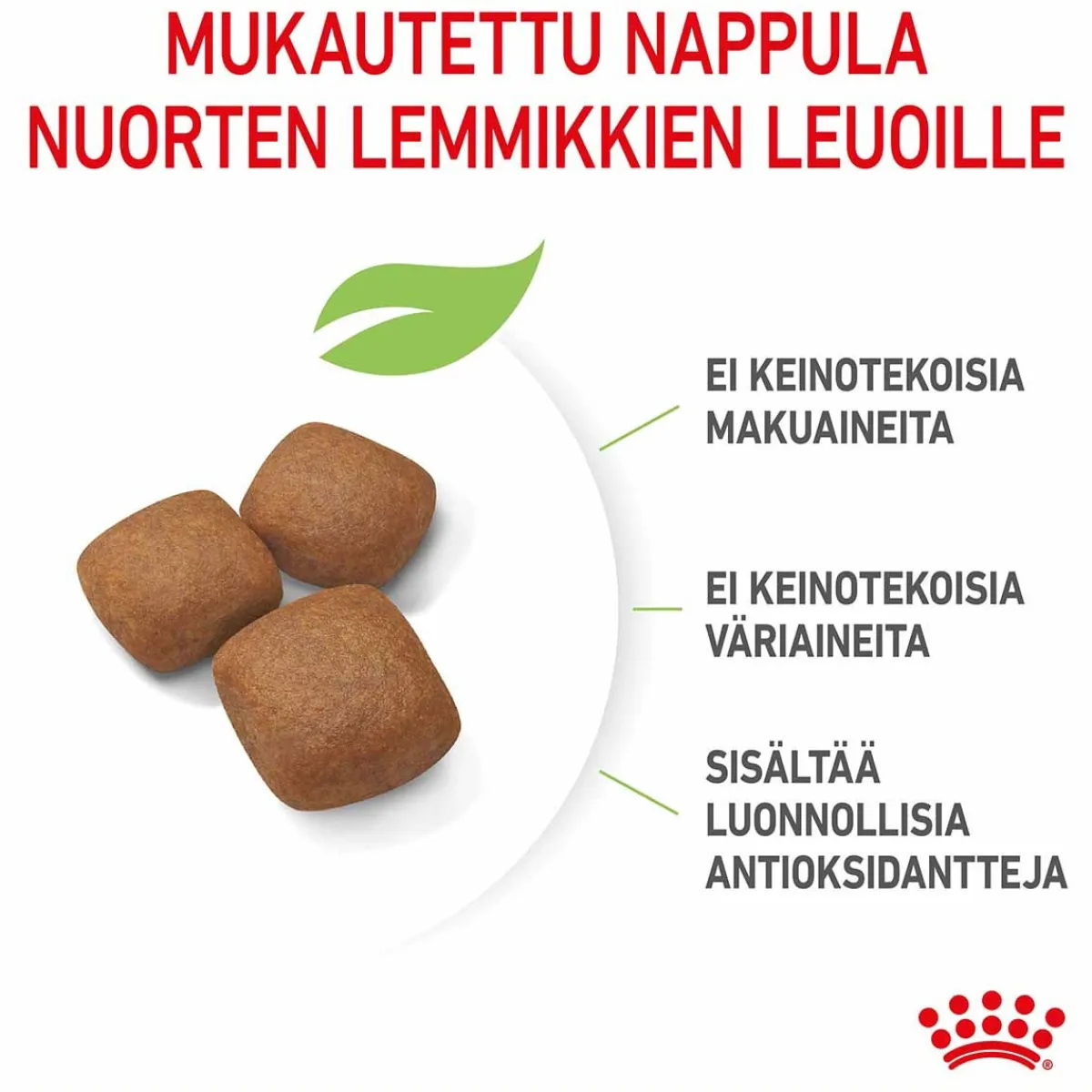 Royal Canin Penturuoka|Koiran Kuivaruoka*Giant Junior 15 kg