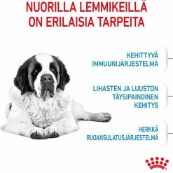 Royal Canin Penturuoka|Koiran Kuivaruoka*Giant Junior 15 kg