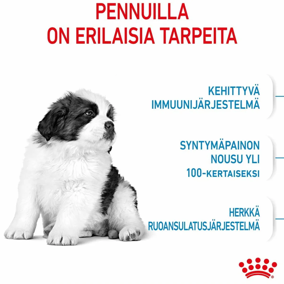 Royal Canin Penturuoka|Koiran Kuivaruoka*Giant Puppy