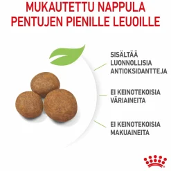 Royal Canin Penturuoka|Koiran Kuivaruoka*Giant Puppy