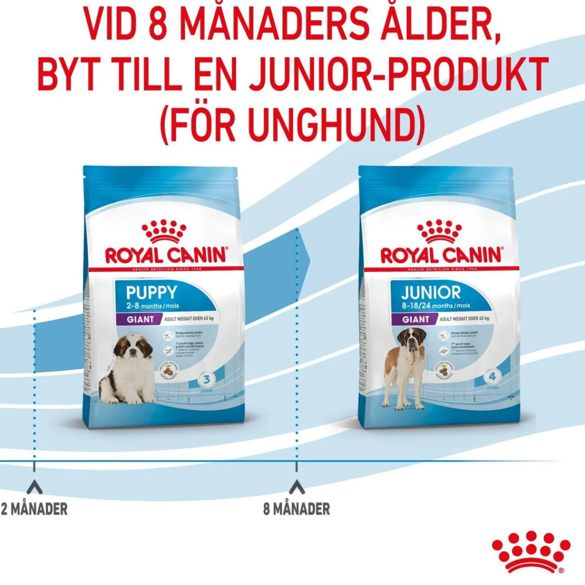 Royal Canin Koiran Kuivaruoka*Giant Puppy 2 x 15kg