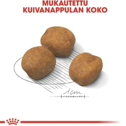 Royal Canin Koiran Kuivaruoka*Giant Puppy 2 x 15kg