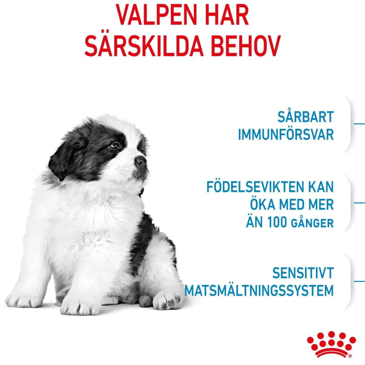 Royal Canin Koiran Kuivaruoka*Giant Puppy 2 x 15kg