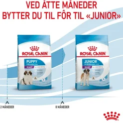 Royal Canin Koiran Kuivaruoka*Giant Puppy 2 x 15kg