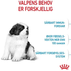 Royal Canin Koiran Kuivaruoka*Giant Puppy 2 x 15kg
