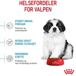 Royal Canin Koiran Kuivaruoka*Giant Puppy 2 x 15kg