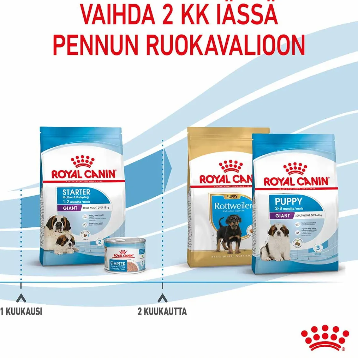 Royal Canin Koiran Kuivaruoka*Giant Starter, 15 kg