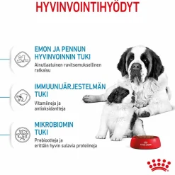 Royal Canin Koiran Kuivaruoka*Giant Starter, 15 kg
