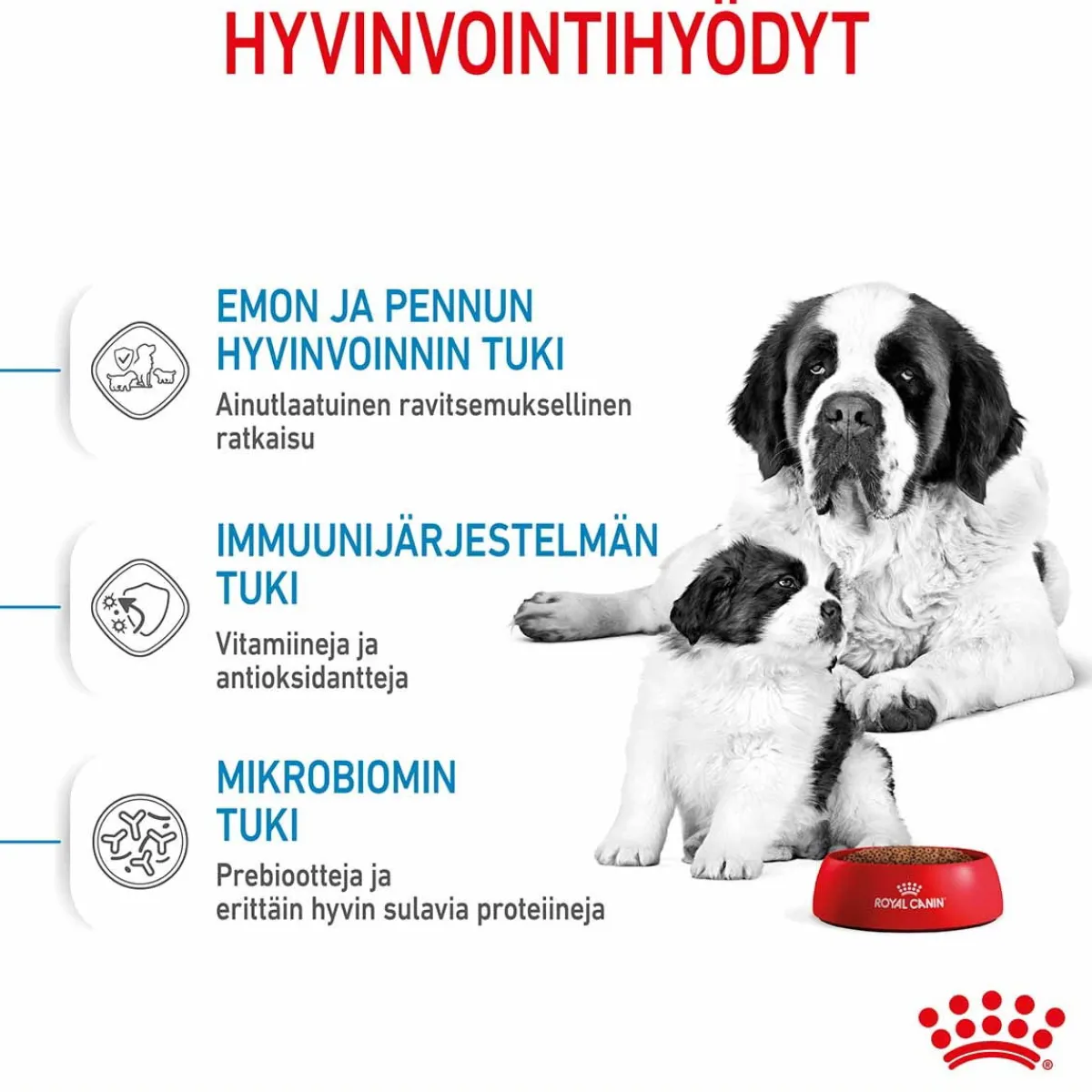 Royal Canin Koiran Kuivaruoka*Giant Starter, 15 kg