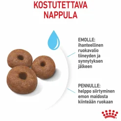 Royal Canin Koiran Kuivaruoka*Giant Starter, 15 kg