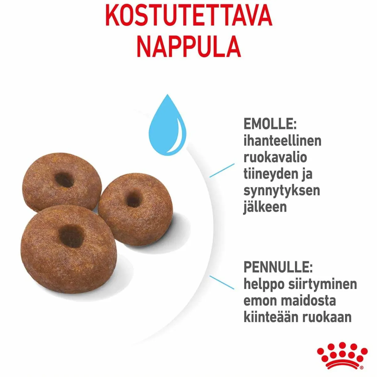 Royal Canin Koiran Kuivaruoka*Giant Starter, 15 kg