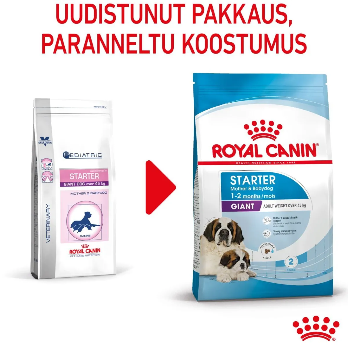 Royal Canin Koiran Kuivaruoka*Giant Starter, 15 kg