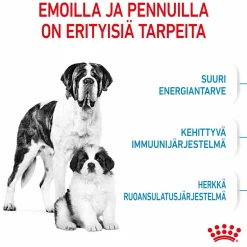 Royal Canin Koiran Kuivaruoka*Giant Starter, 15 kg