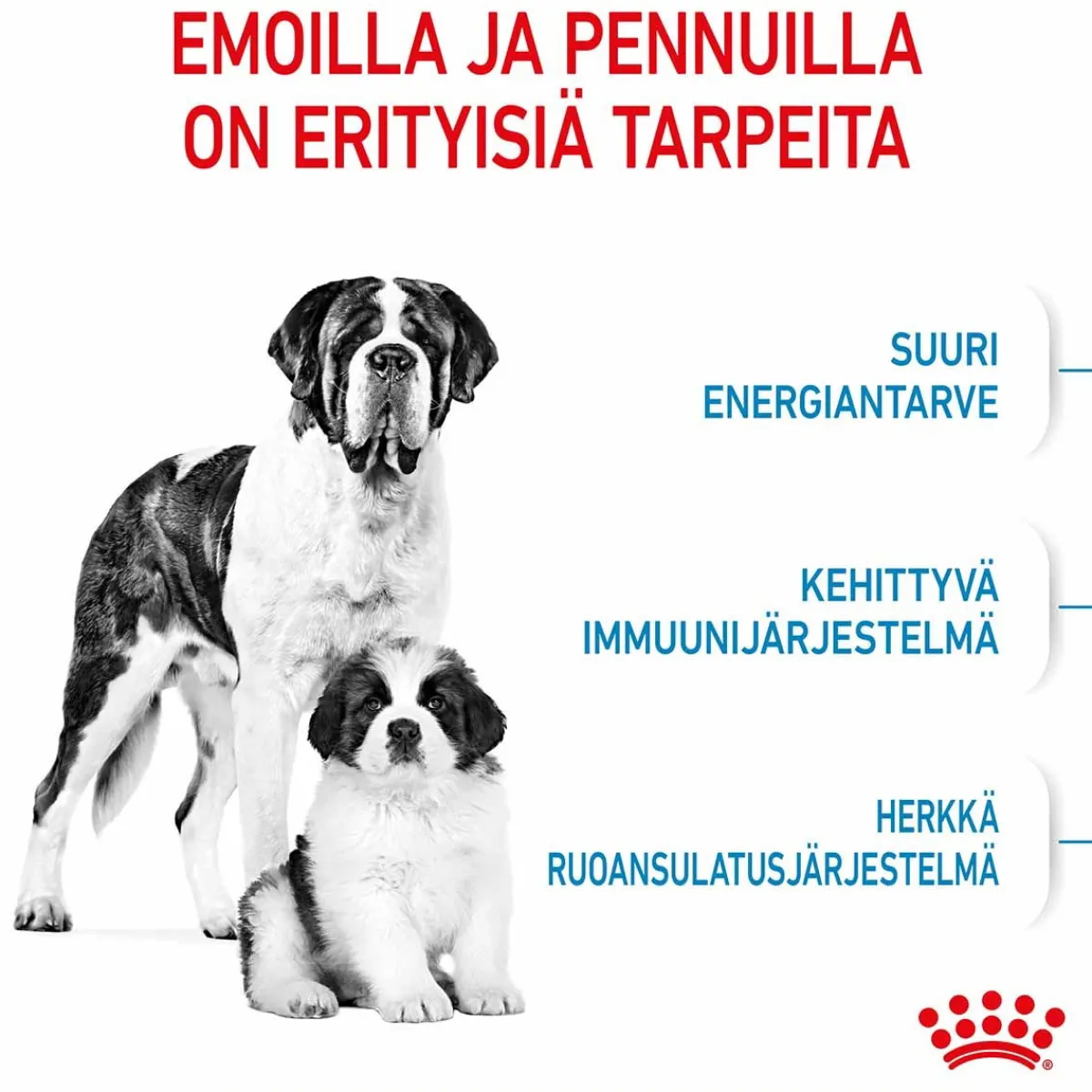 Royal Canin Koiran Kuivaruoka*Giant Starter, 15 kg