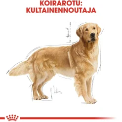 Royal Canin Koiran Kuivaruoka|Tarjoukset Koirille*Golden Retriever Adult 12 kg
