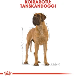 Royal Canin Koiran Kuivaruoka|Tarjoukset Koirille*Great Dane Adult 12 kg